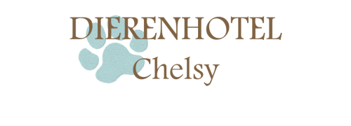 Dierenhotel Chelsy